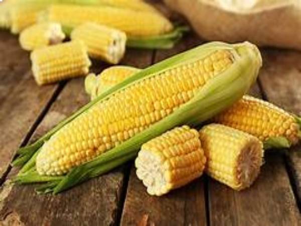 Ngủ mơ thấy bắp ngô thống kê số may mắn?