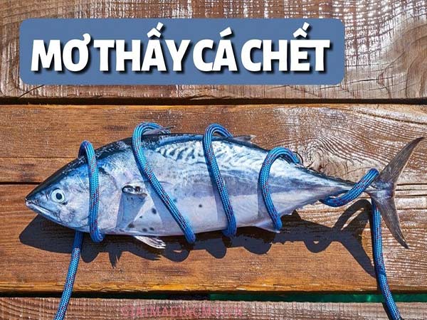 Mơ thấy cá chết
