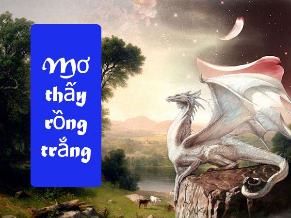 Mơ thấy rồng trắng