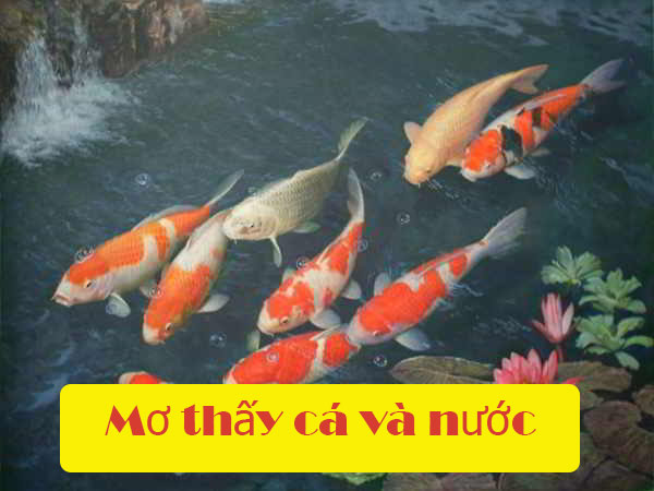 Nằm mơ thấy cá và nước – Giải mã giấc mơ, bật mí số may