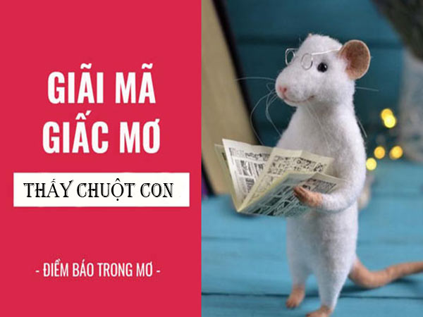 Nằm mơ thấy chuột con có điềm gì, đánh số mấy?