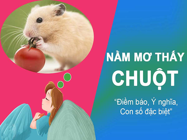 Nằm mơ thấy chuột đánh con gì chắc ăn, dễ trúng lớn?