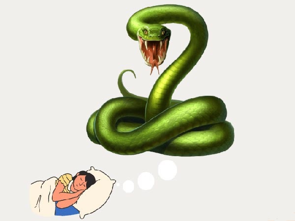Có bầu mơ thấy rắn