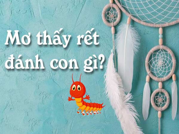 Mơ thấy con rết đánh số mấy?