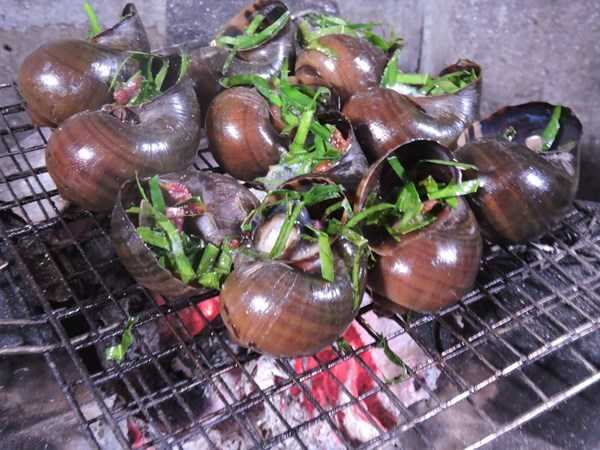Nằm mơ thấy ăn ốc chơi con gì có ý nghĩa gì thú vị
