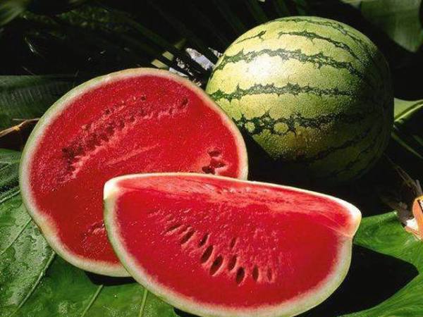 Nhìn thấy dưa hấu lựa chọn cặp số nào