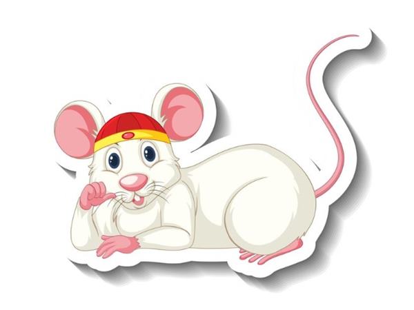 Con số tài lộc cho tuổi Tý ngày 27/3/2025 thứ 5 hôm nay là gì?