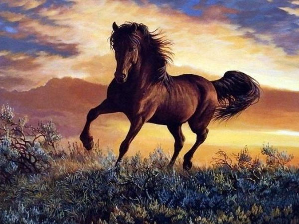 Khai vận phú quý với số hoàng kim tuổi Nhâm Ngọ 12/4/2025