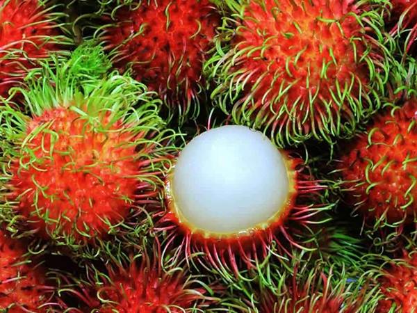 Ngủ mơ thấy quả chôm chôm là điềm đen hay đỏ?