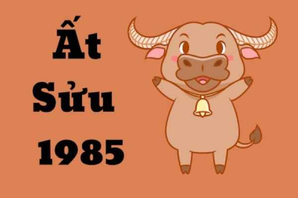 Luận giải con số đẹp tuổi Ất Sửu 28/6/2025 chi tiết