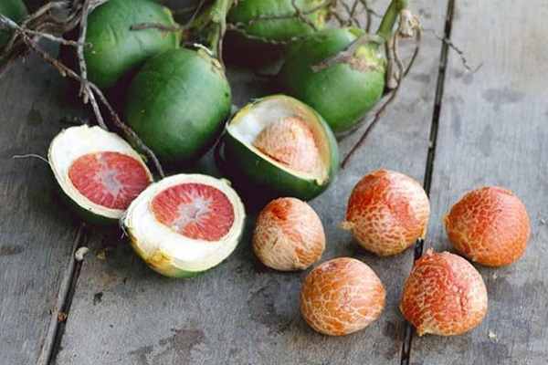 Ý nghĩa giấc mơ thấy quả cau: Tài lộc hay hao tài?