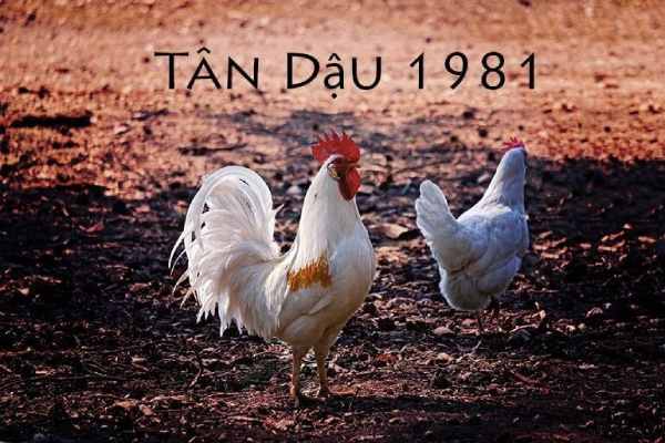 Con số đẹp tuổi Tân Dậu 18/7/2025 vượng tài thăng chức