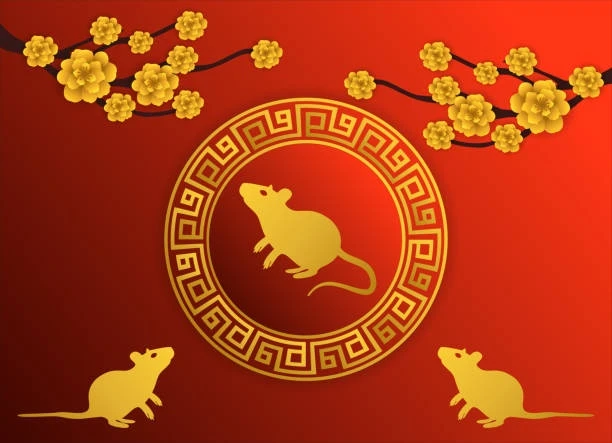 Sự nghiệp khởi sắc nhờ số phát tài tuổi Tý 16/7/2025