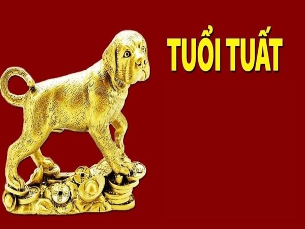  Cặp số đẹp tuổi Tuất 27/8/2025 hôm nay
