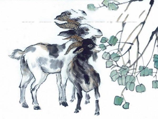 Tổng quan về người tuổi Quý Mùi ngày 17/9/2025 thứ 4 hôm nay