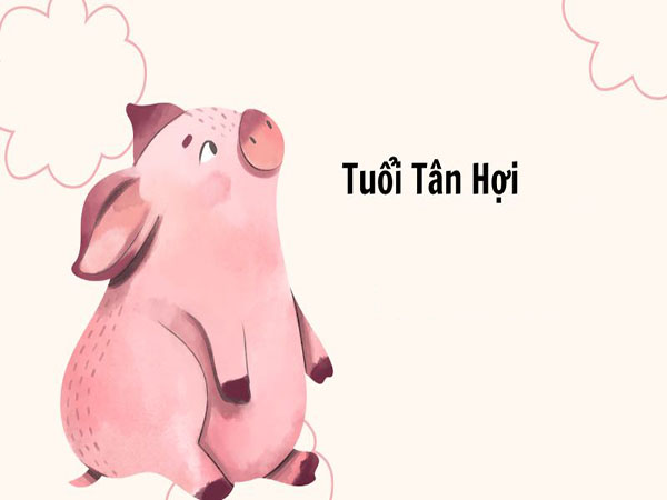 Chi tiết tử vi tuổi Tân Hợi ngày 14/9/2025 chủ nhật hôm nay