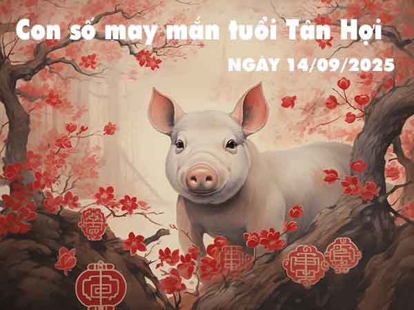 Con số tài lộc tuổi Tân Hợi ngày 14/9/2025 chủ nhật hôm nay