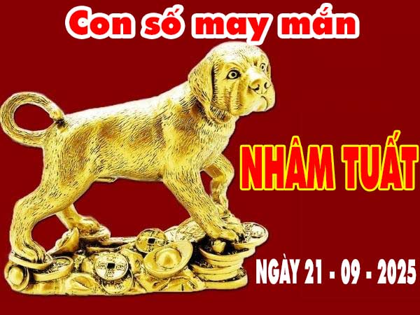 Cặp số tài lộc tuổi Nhâm Tuất ngày 25/10/2025 thứ 7 hôm nay