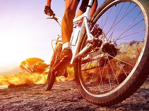 Nằm mơ thấy đi xe đạp phản ánh điều gì sắp xảy ra?